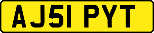 AJ51PYT