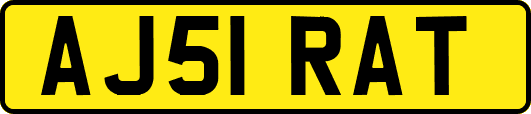 AJ51RAT