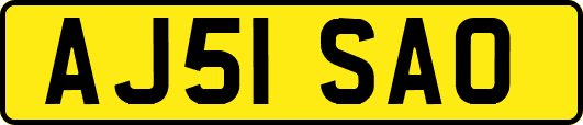 AJ51SAO