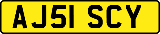 AJ51SCY