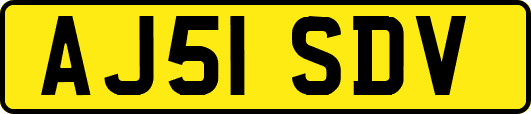 AJ51SDV