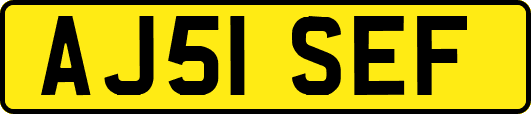 AJ51SEF