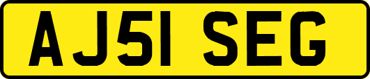 AJ51SEG