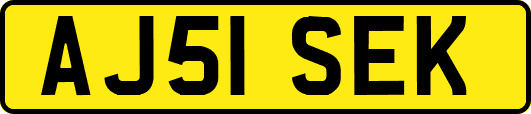AJ51SEK