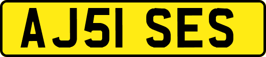 AJ51SES