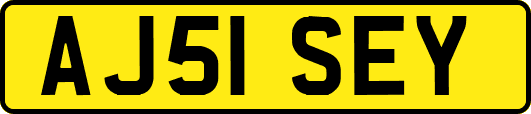 AJ51SEY