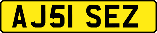 AJ51SEZ
