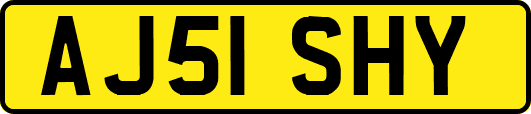 AJ51SHY