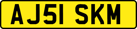 AJ51SKM