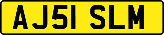 AJ51SLM