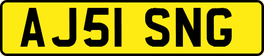 AJ51SNG