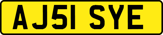 AJ51SYE
