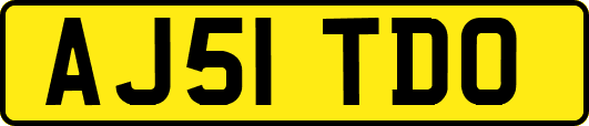 AJ51TDO