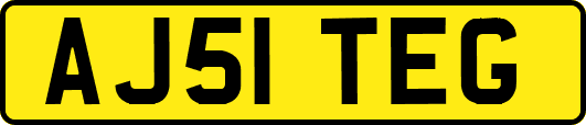 AJ51TEG