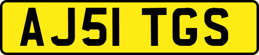 AJ51TGS
