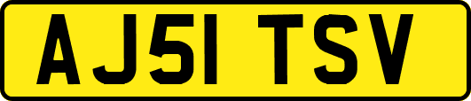 AJ51TSV