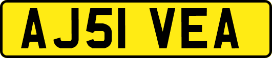 AJ51VEA