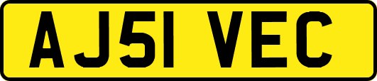 AJ51VEC