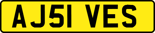 AJ51VES