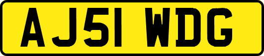 AJ51WDG