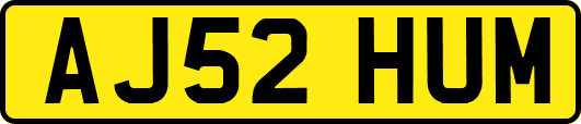 AJ52HUM