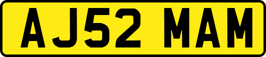 AJ52MAM