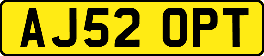 AJ52OPT