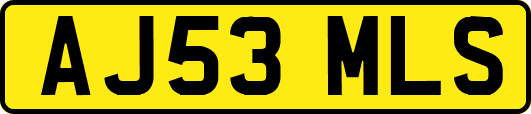 AJ53MLS