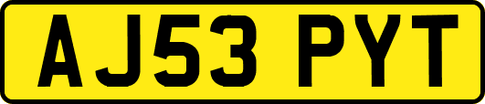 AJ53PYT