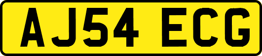 AJ54ECG