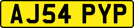 AJ54PYP