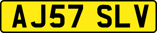 AJ57SLV