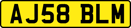 AJ58BLM