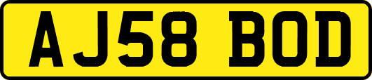 AJ58BOD
