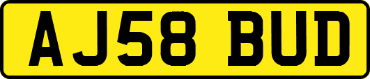 AJ58BUD