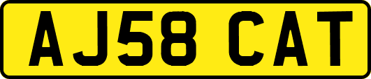 AJ58CAT