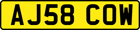 AJ58COW
