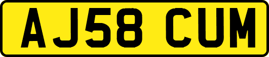 AJ58CUM