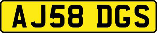 AJ58DGS