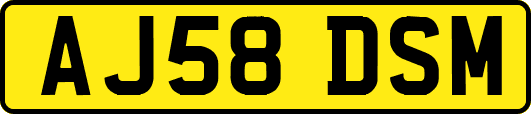 AJ58DSM