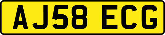 AJ58ECG