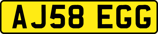 AJ58EGG