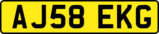 AJ58EKG