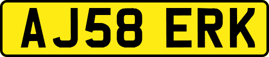 AJ58ERK