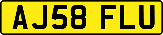 AJ58FLU