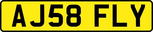 AJ58FLY