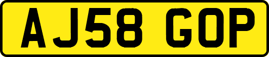 AJ58GOP