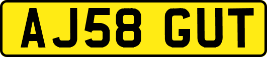 AJ58GUT