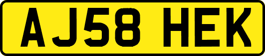 AJ58HEK