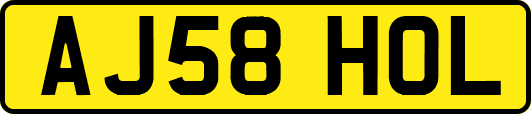 AJ58HOL